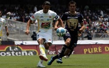 pumas