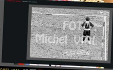 Michel Vial