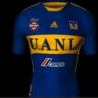 Playera Tigres