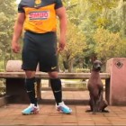 Sopa del día | América vs Los Xolos