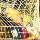 Barcelona Camp Nou