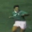 Raúl Orvañanos