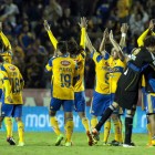 Tigres busca una final Tigres busca una final