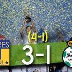 Tigres Campeón