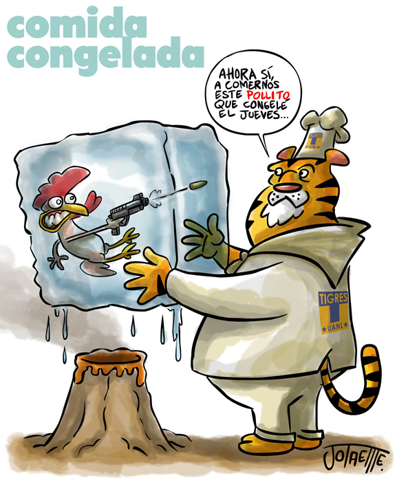 Comida Congelada
