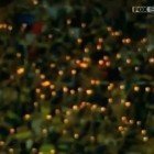 Boca Juniors Vs River Plate