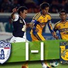 2012.02.25-Pach1-Tgrs1-chi 2012.02.25-Pach1-Tgrs1-chi