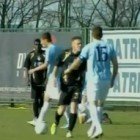 Simic