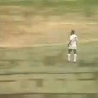Santos de Brasil