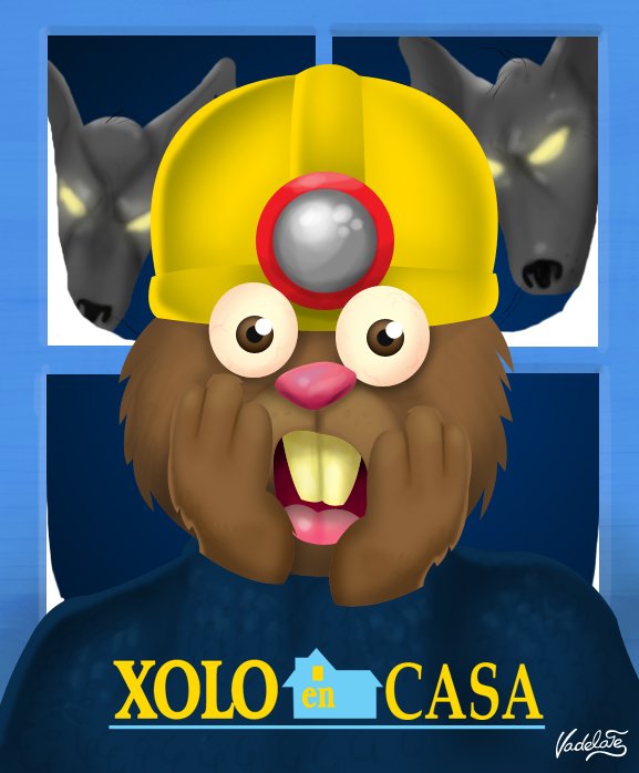 Xolo en Casa