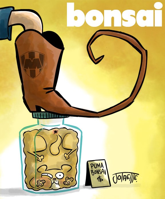 Bonsai