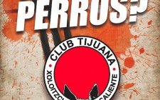 Desplegado de Jaguares