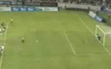 Leones Negros vs Tiburones
