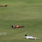 Jugadores atacados por abejas