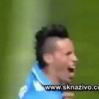 Marek