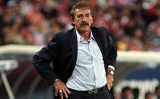 La Volpe