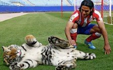 LA IMAGEN DEL DÍA | Radamel Falcao posa con un tigre