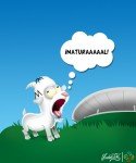 Por fin Omnilife con pasto natural