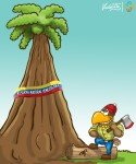 La caida de los Troncos