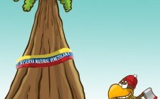 La caida de los Troncos