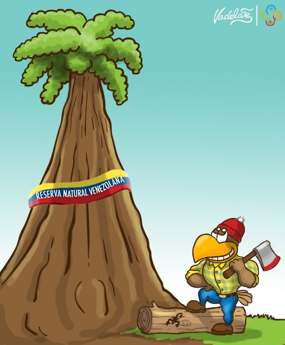 ¡Fuera Abajo!
