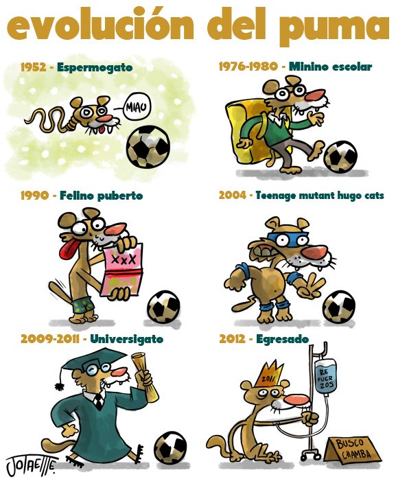 Evolución del puma