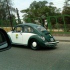 Vocho del León