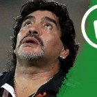 Echaron a Maradona del Al Wasl ¡porque sólo ha tenido 1 esposa! Echaron a Maradona del Al Wasl ¡porque sólo ha tenido 1 esposa!