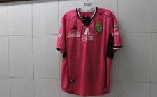 Playera rosa del León