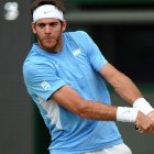 Del Potro se quedó con el bronce