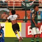 Romarinho
