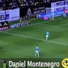 Goles J-11 Goles J-11