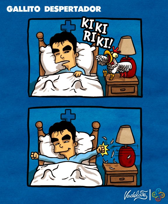 Gallito despertador