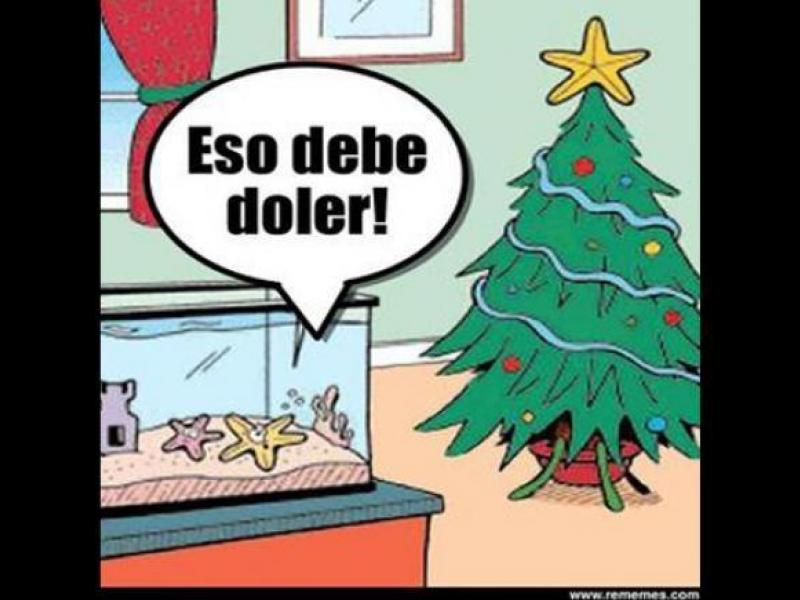 Aquí están: memes por la navidad - Futbol Sapiens
