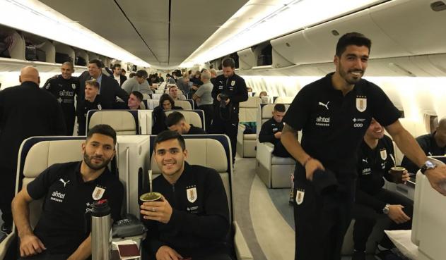 150 kilos de yerba mate arribaron a Rusia para la selección de Uruguay