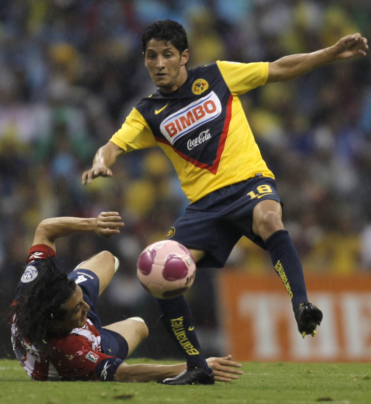 Ángel Reyna