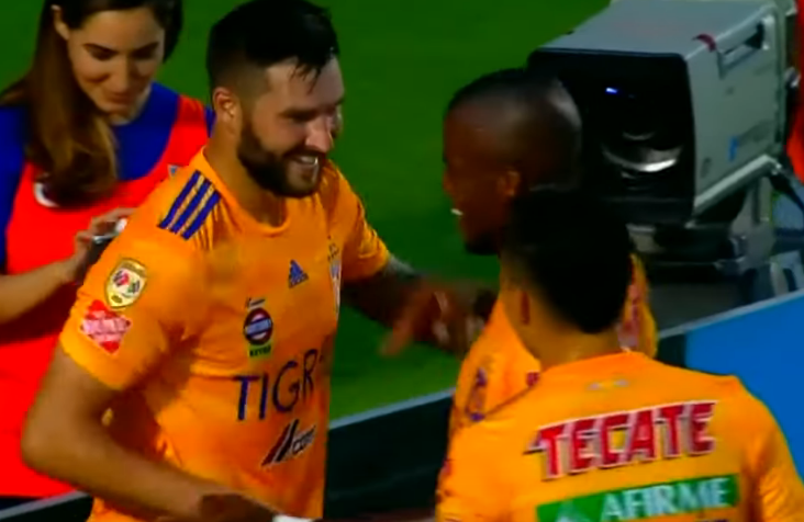 Tigres