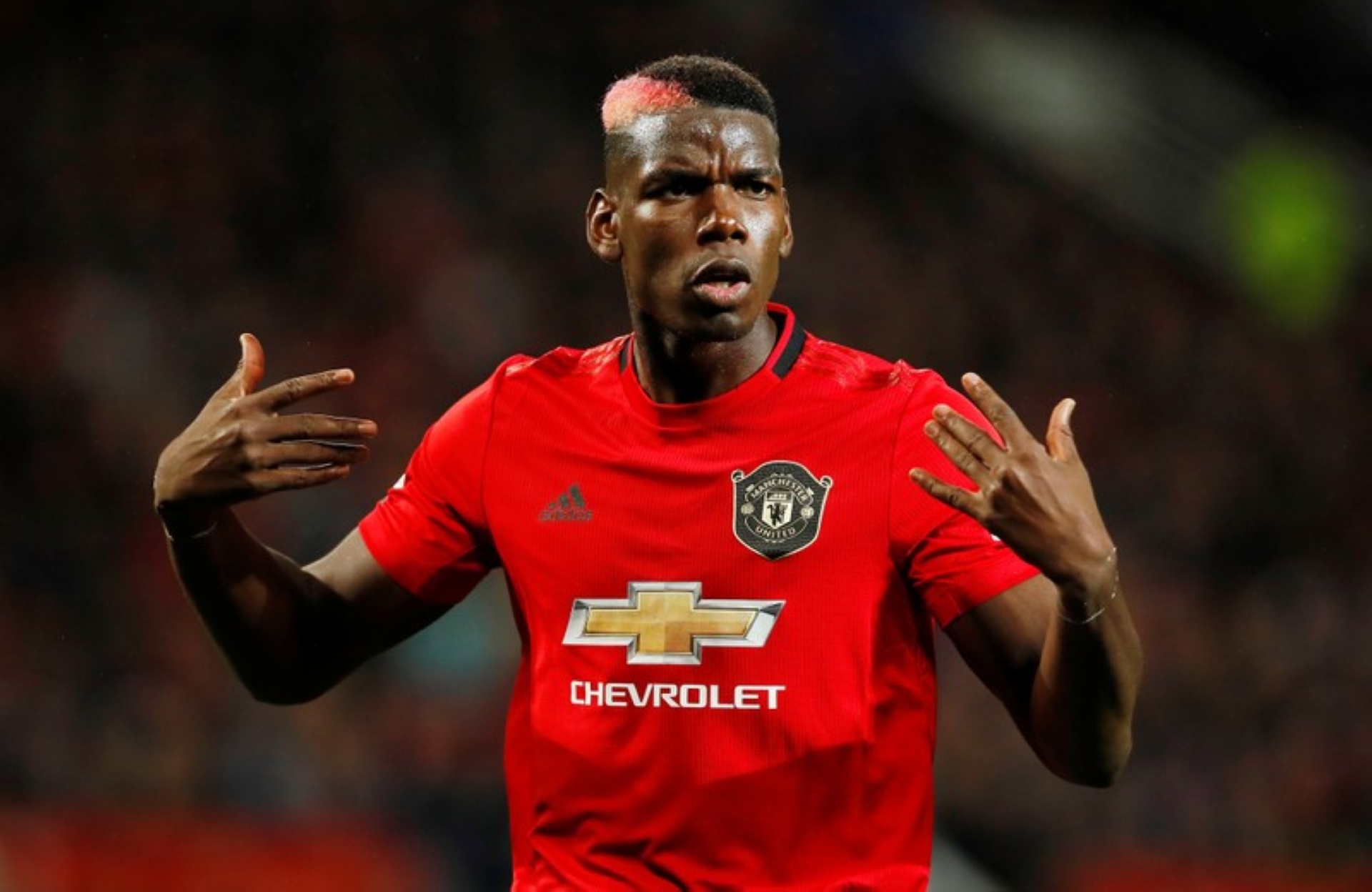 Solskjaer aclara cuándo volverá Pogba a los terrenos de juego Futbol