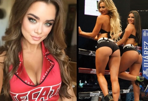 Las más guapas edecanes de box Las más guapas edecanes de box