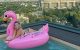 Wanda Nara
