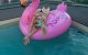 Wanda Nara