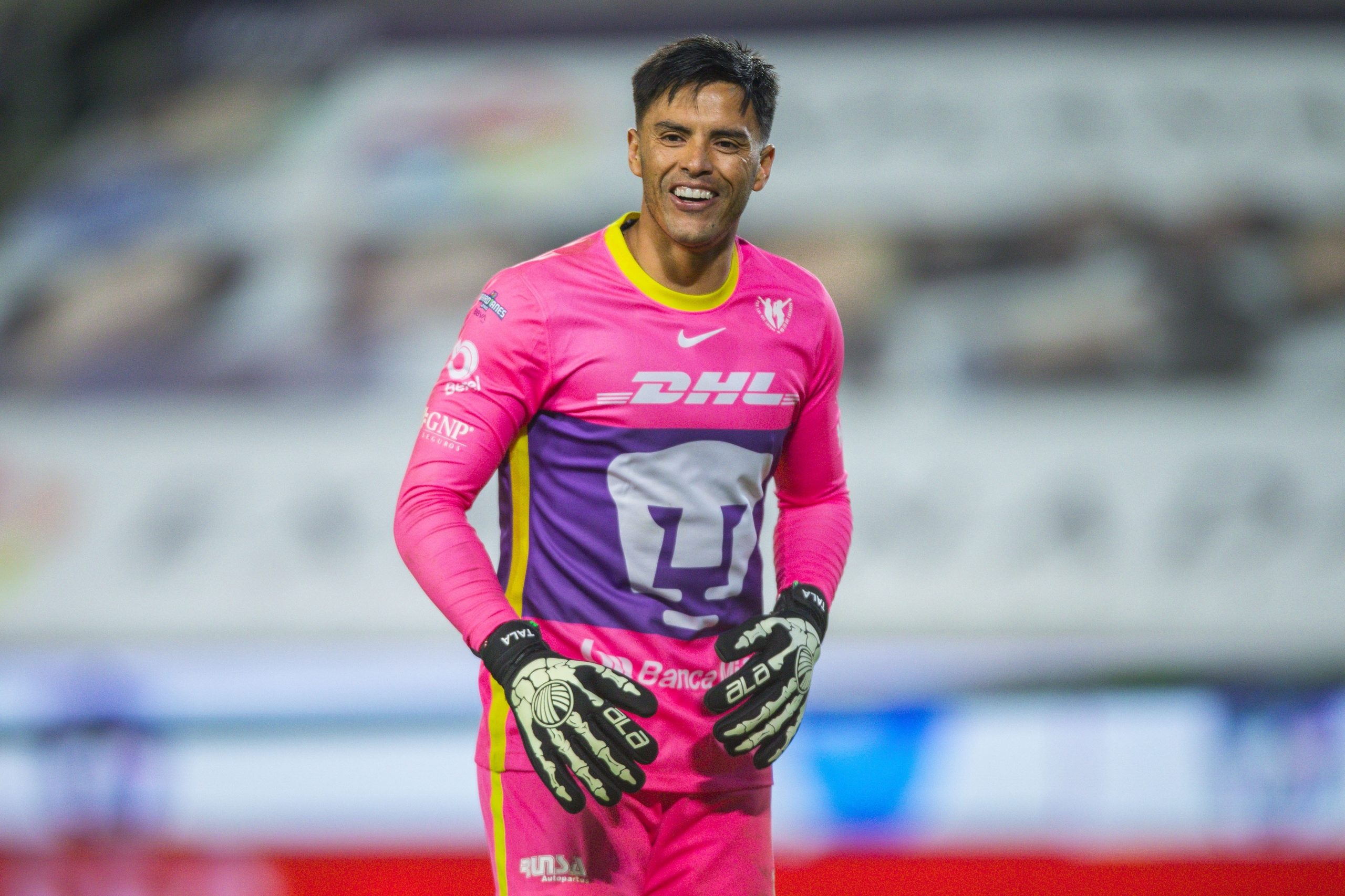 Pumas. talavera