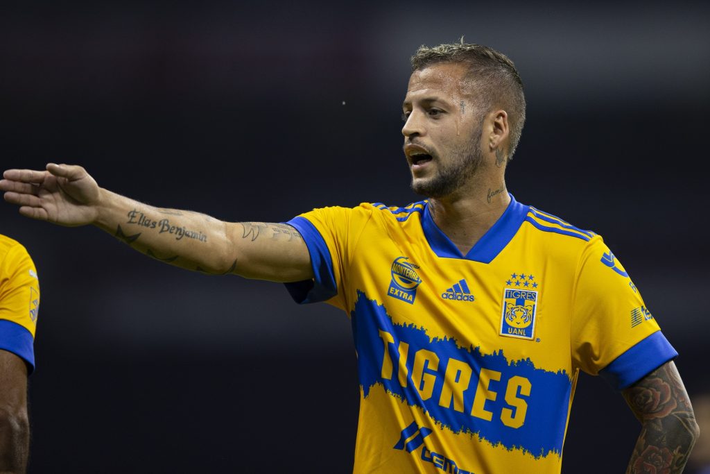 tigres