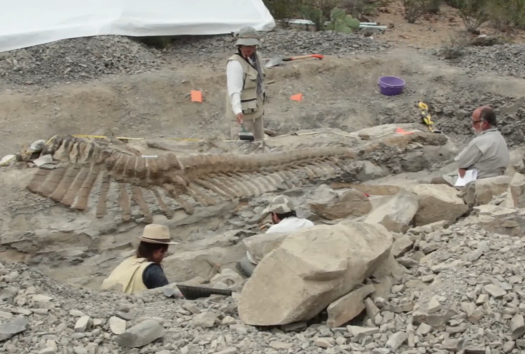 Descubrimiento de huellas de dinosaurios en Michoacán